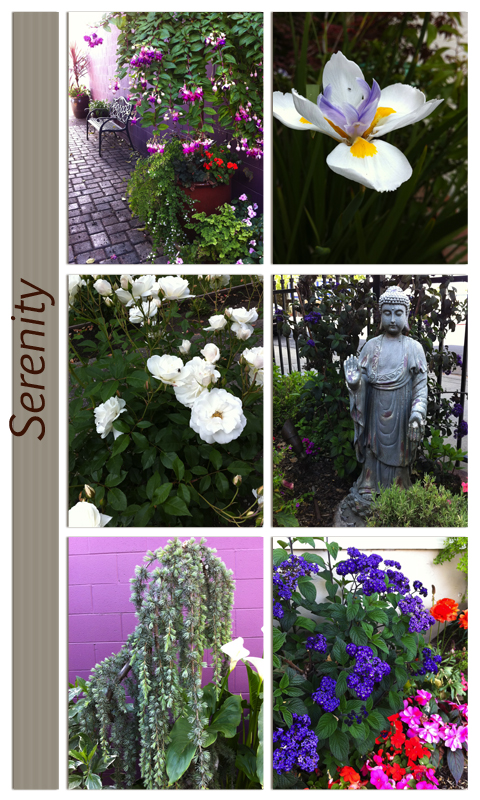 Serenity Photo Collage