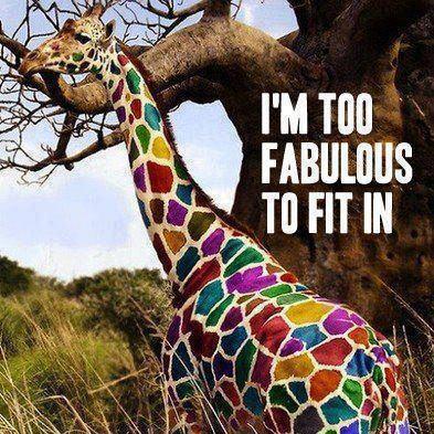 Colorful giraffe