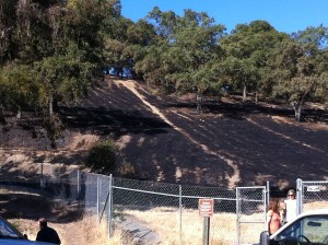 "Cardboard Hill" burned