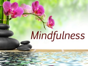 Mindfulness400