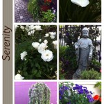 Serenity Photo Collage